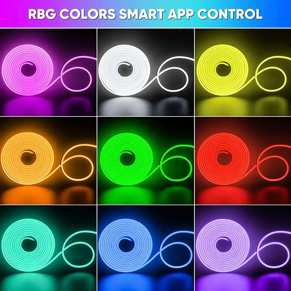 Neon Glow LED Lights